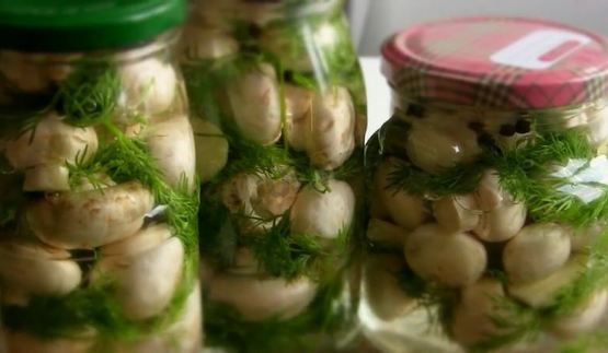 малосольные шампиньоны