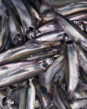 Мойва пряного посола