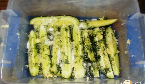 огурцы малосольные