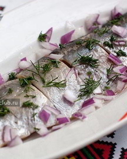 Рецепт сельди соленой