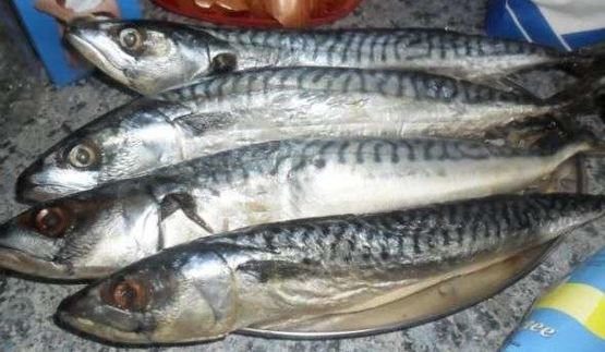 скумбрия домашнего посола