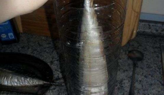 скумбрия домашнего посола