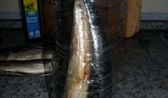 скумбрия домашнего посола