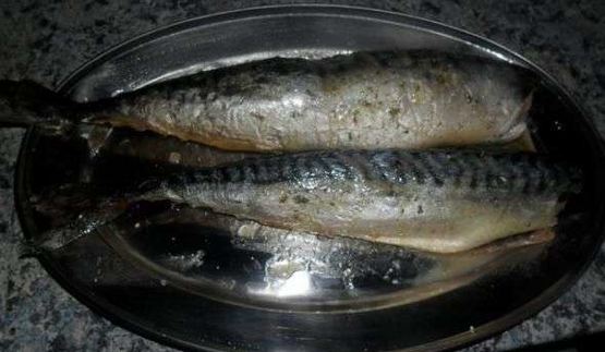 скумбрия домашнего посола