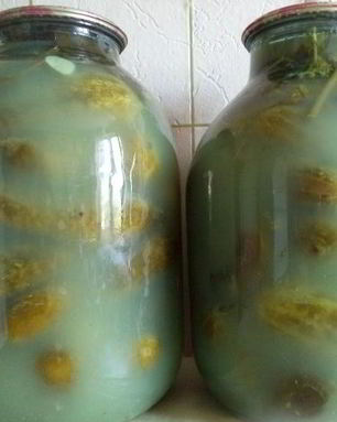 Соленые огурцы без уксуса на зиму