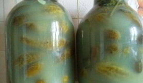 соленые огурцы без уксуса на зиму