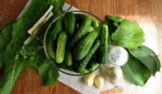 соленые огурцы на зиму в банках