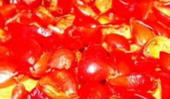 варенье из дикого шиповника