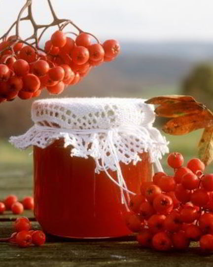 Рецепт варенья из лесной рябины
