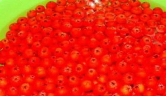 варенье из лесной рябины