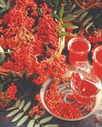 Варенье из рябины