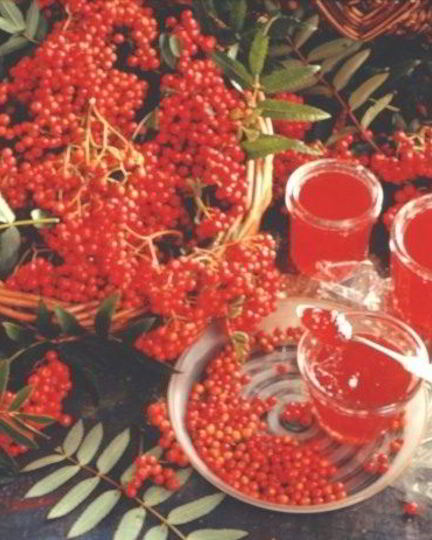 Рецепт варенья из рябины