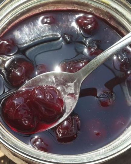 Рецепт вишневого варенья на базиликовом сиропе