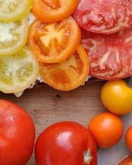 Рецепт брускетты с помидорами и творожной намазкой из базилика