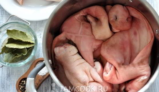 холодец из свиной головы