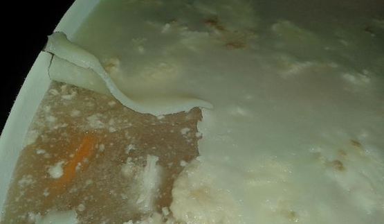 холодец новогодний