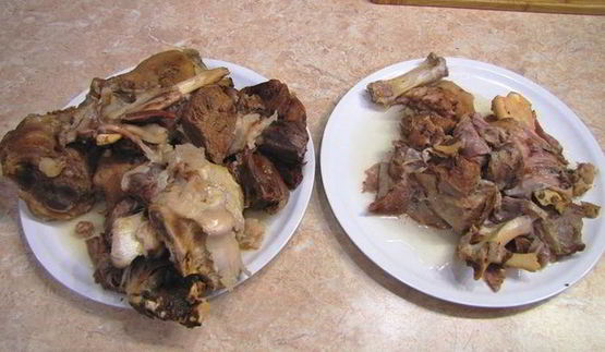 холодец, просто холодец