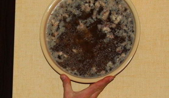 холодец, просто холодец