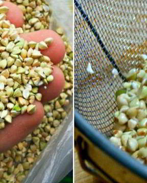 Хумус из зеленой гречки