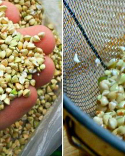 Рецепт хумуса из зеленой гречки