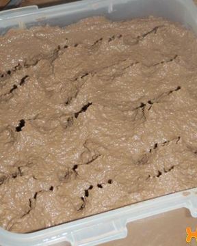 Паштет из говяжьей печени