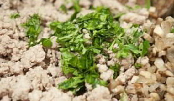 паштет из телятины и грибов в слоеном тесте