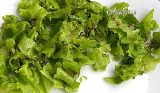 сырный паштет из цукини с миндалем