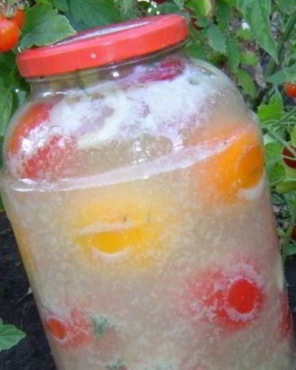 Рецепт помидоров с горчицей холодным способом