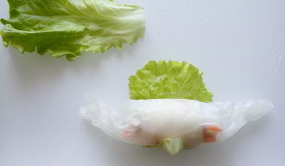 спринг-роллы с кальмарами и тунцом