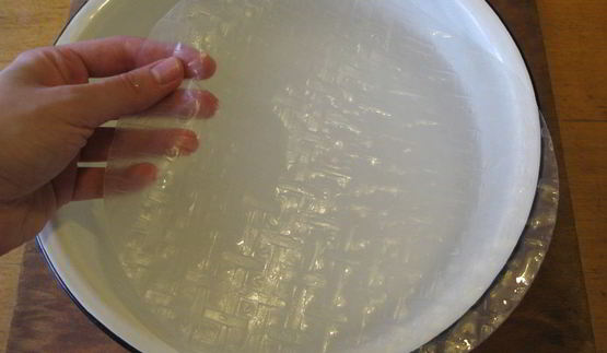 спринг-роллы с курицей, грибами и сливочным сыром