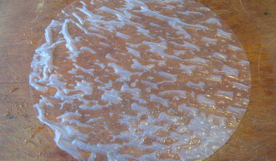 спринг-роллы с курицей, грибами и сливочным сыром