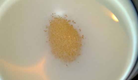 чешский шоколадный рулет