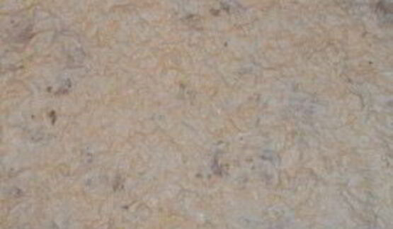 рулет из лаваша с шампиньонами