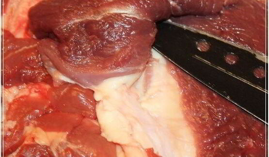 рулет с яблоками и черносливом