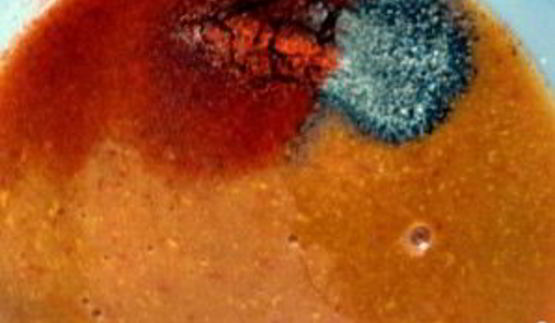 сэндвич барбекю со свининой