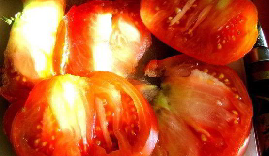 сэндвичи с окошком