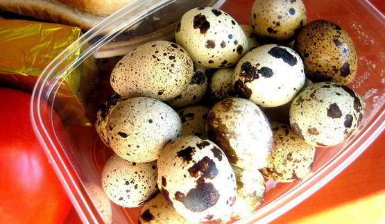 сэндвичи с окошком