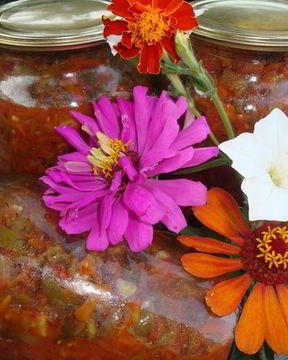 Закуска из баклажанов на зиму