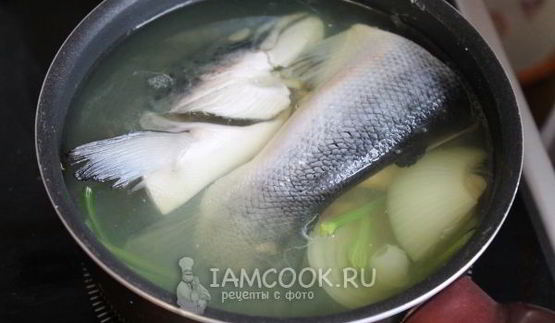 заливное из семги