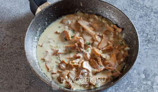 жульен из лисичек