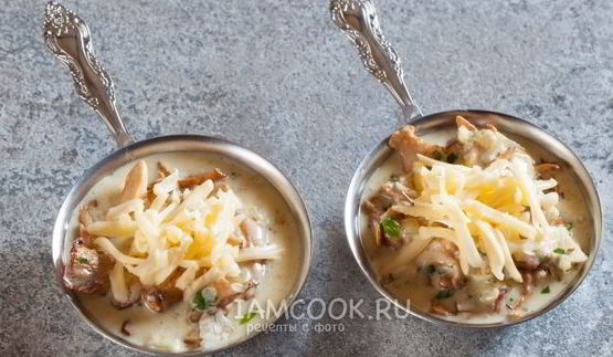 жульен из лисичек