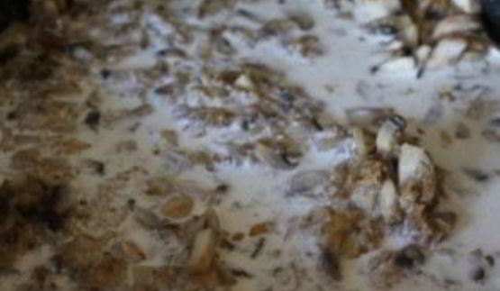 жульен с кабачками